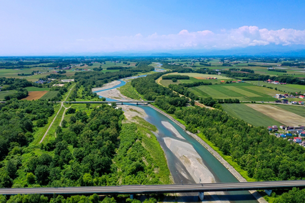 特殊な飛行ができる(1等)
